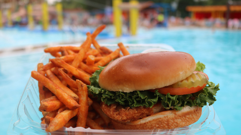 Chicken sandwich and fries